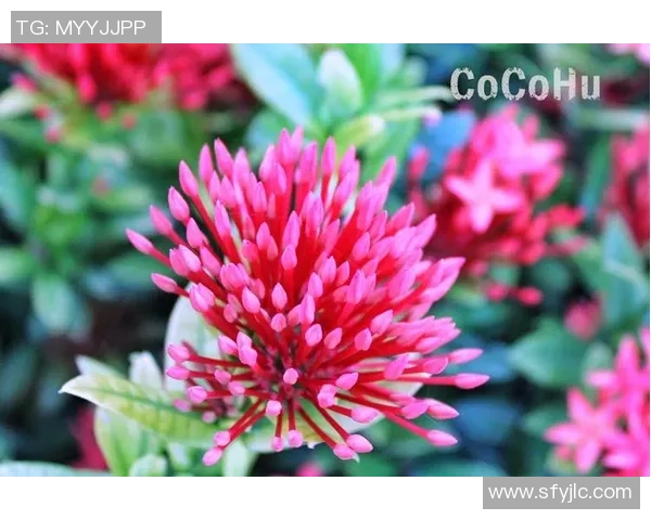 姚明乘火车畅游祖国大地感受人间烟火气息与温暖人情